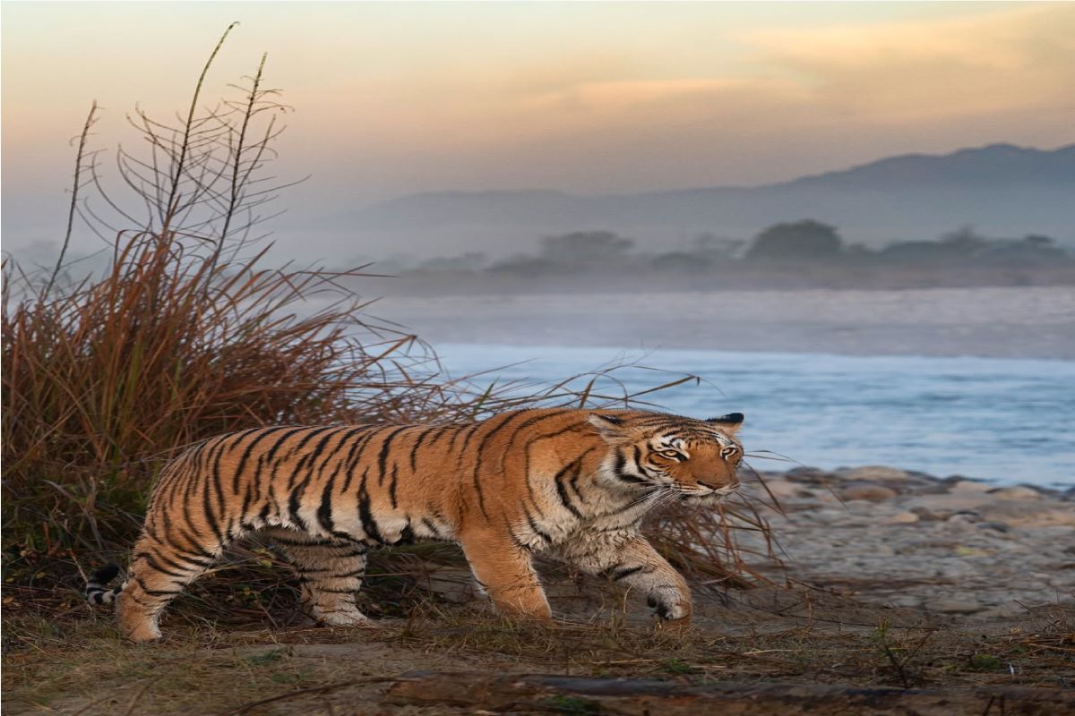 Uttarakhand Tour Gallery